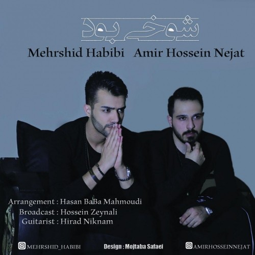 Mehrshid Habibi & AmirHossein Nejat